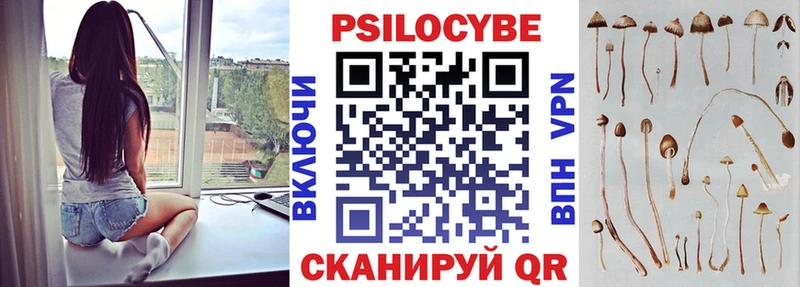 Псилоцибиновые грибы Psilocybine cubensis  hydra   Углегорск  купить закладку 